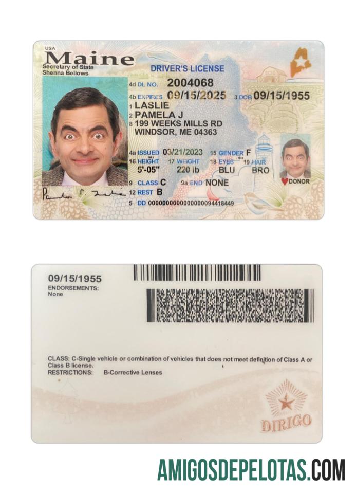 Carteira de habilitação dos EUA Maine 2023 presente modelo